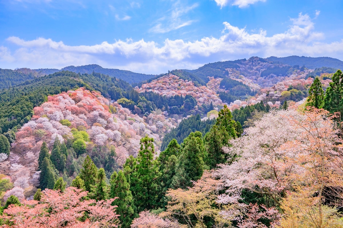 好き＆行ってみたい「奈良県の星空スポット」ランキング