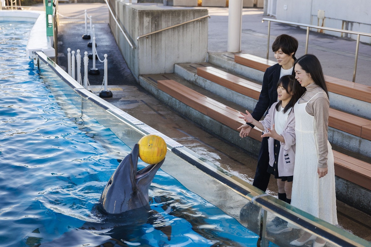 開館前の「ふれあいラグーン」を見学できるという特典付き