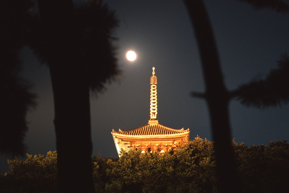 三重塔などの歴史的建造物のライトアップを実施