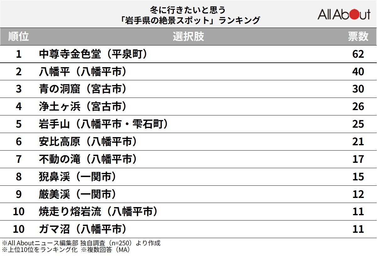 冬に行きたいと思う「岩手県の絶景スポット」ランキング