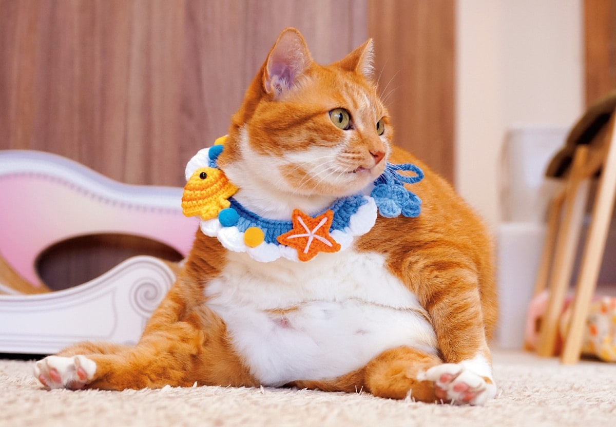 画像出典：『2026ねこのナナちゃん・ポンちゃんカレンダー』（辰巳出版）