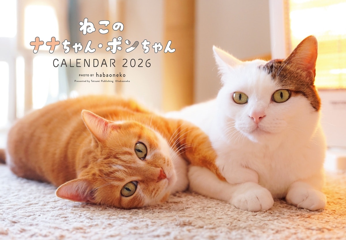 猫のイラスト 「ナナくん・シポくん」 猫のイラスト 「ナナくん・シポくん」 猫のイラスト 「ナナくん・シポ