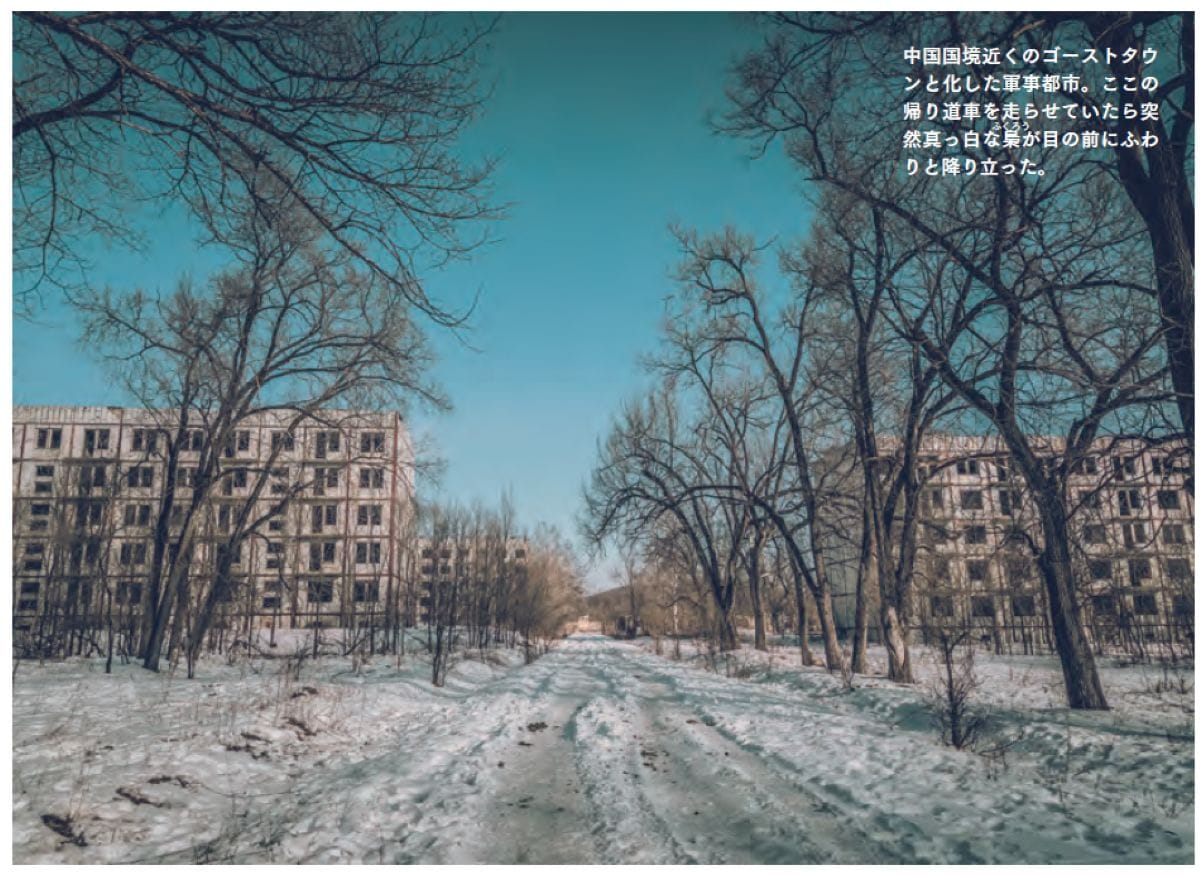 中国国境近くのゴーストタウンと化した軍事都市。ここの帰り道車を走らせていたら突然真っ白な梟（ふくろう）が目の前にふわりと降り立った。