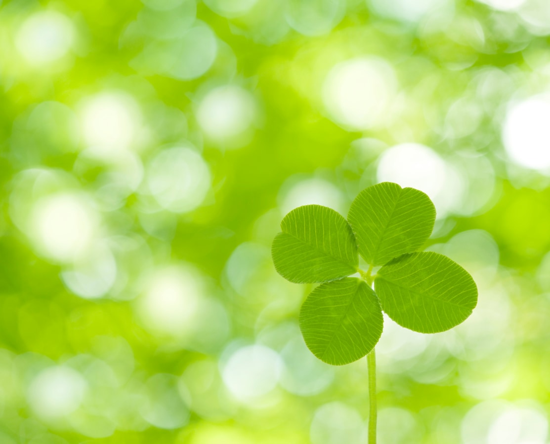 生命保険と損害保険の違いって何 生命保険 All About