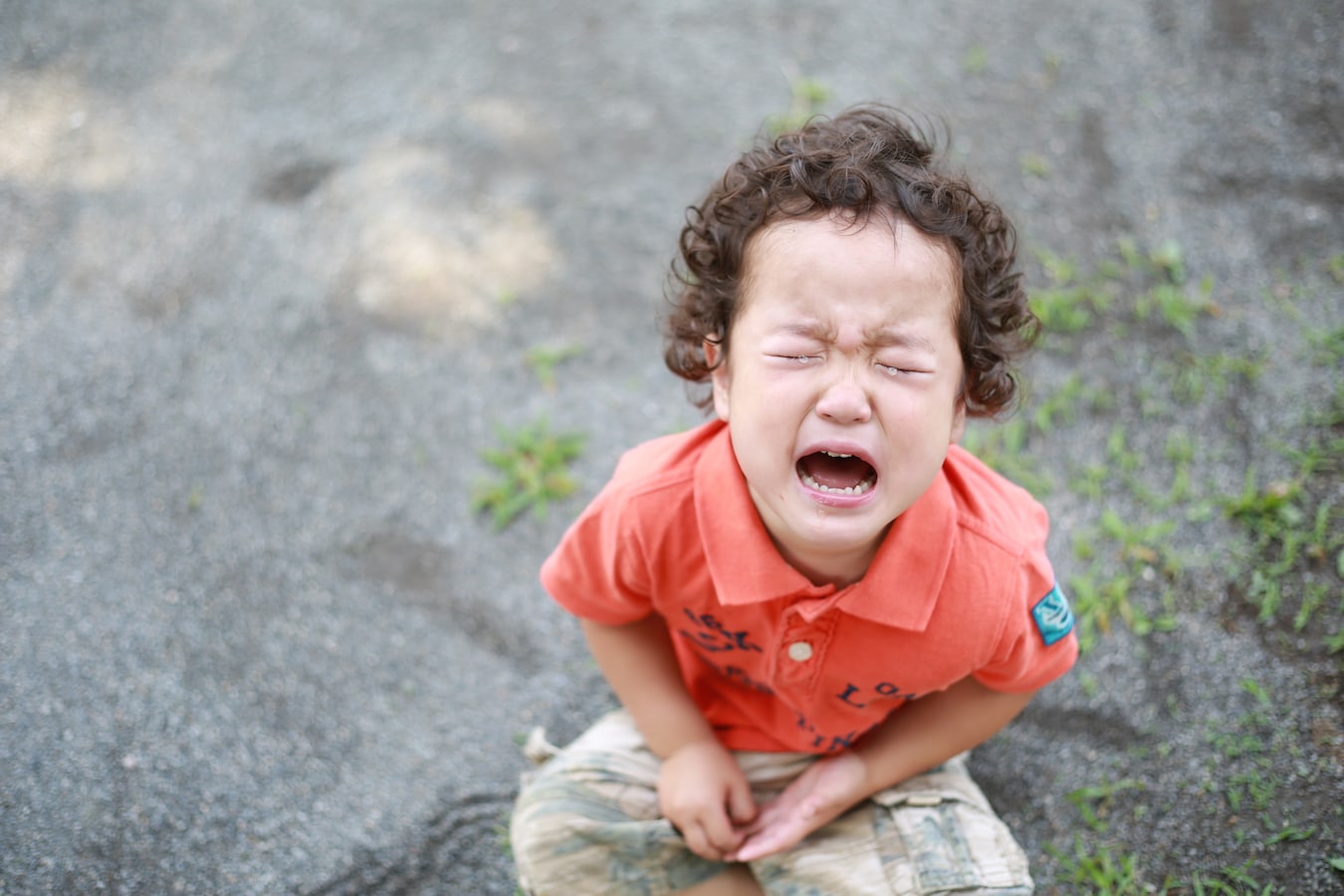 一歳半頃から始まる癇癪 かんしゃく を起こすメカニズムと対処法