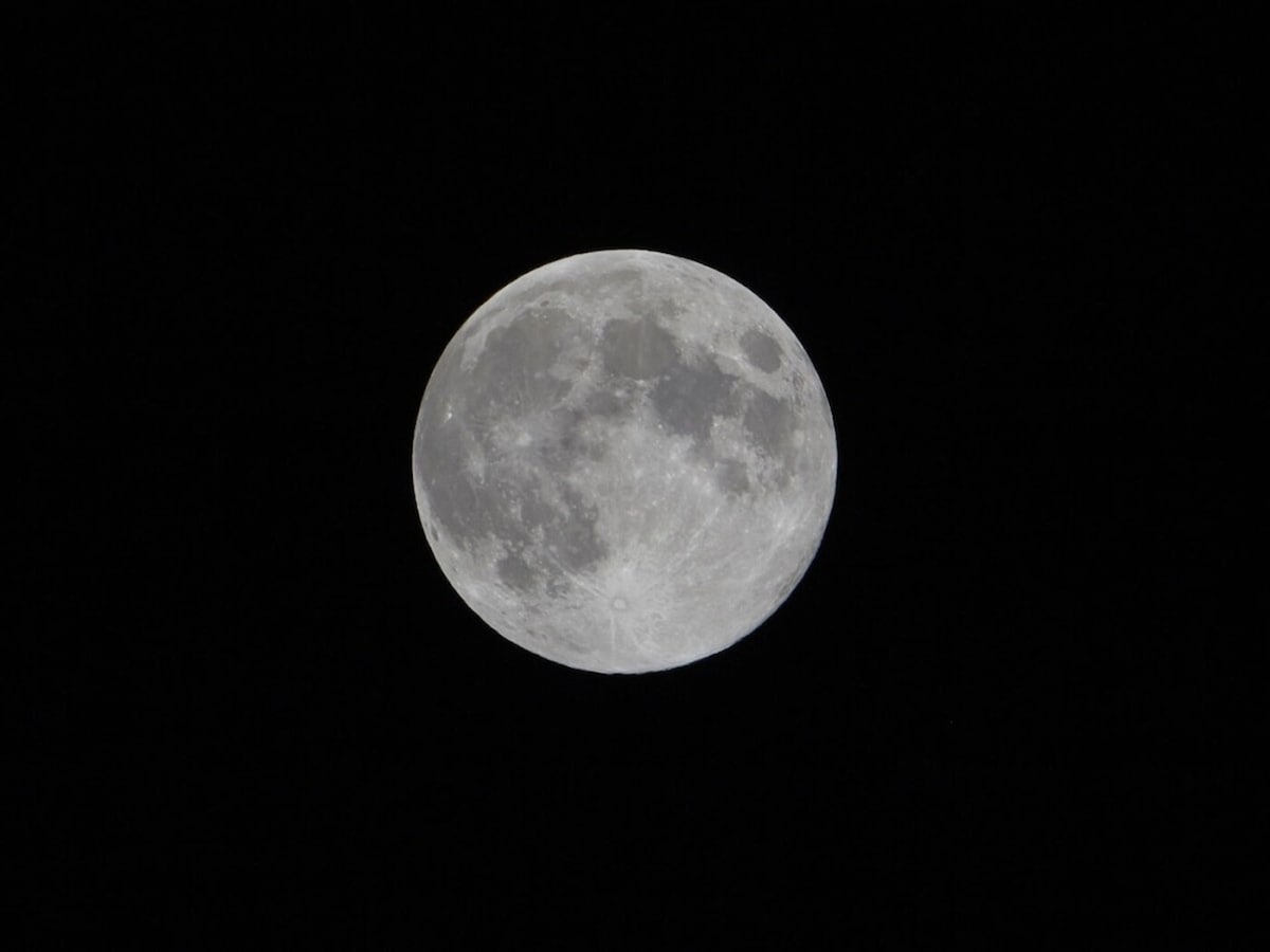 月でうさぎが「餅つき」しているのはなぜ？ 海外での月の模様の見られ