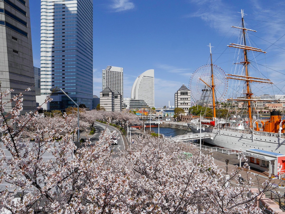 22年 横浜の桜名所 お花見スポットおすすめ選 見頃や穴場情報も 横浜の観光 旅行 All About