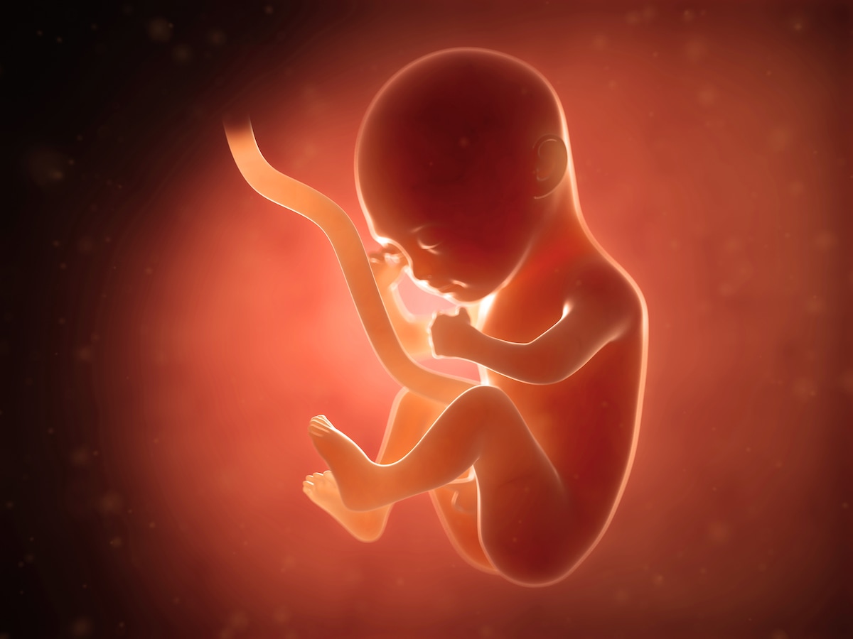 妊娠5ヶ月 妊娠16 19週の胎児の様子 母体の症状や気を付けること 妊娠中期 All About