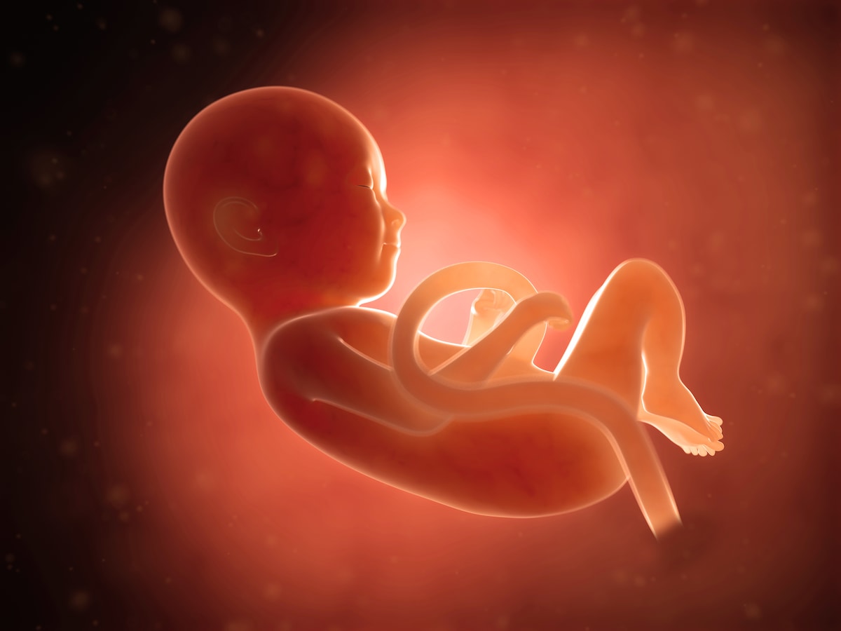 妊娠9ヶ月目 妊娠32 35週の胎児の様子 母体症状や気を付けること 妊娠後期 All About