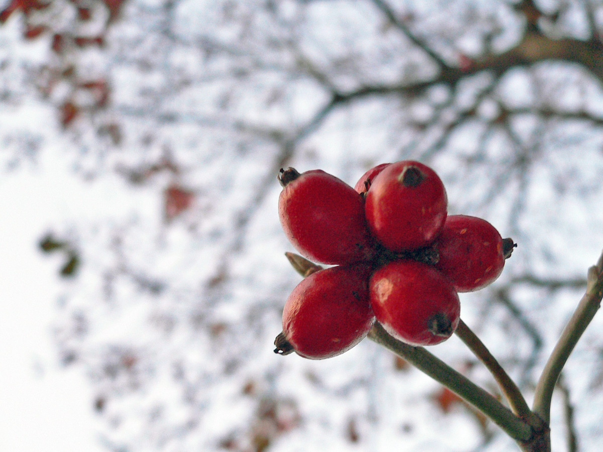 市街化調整区域の土地でも家は建つ 不動産売買の法律 制度 All About