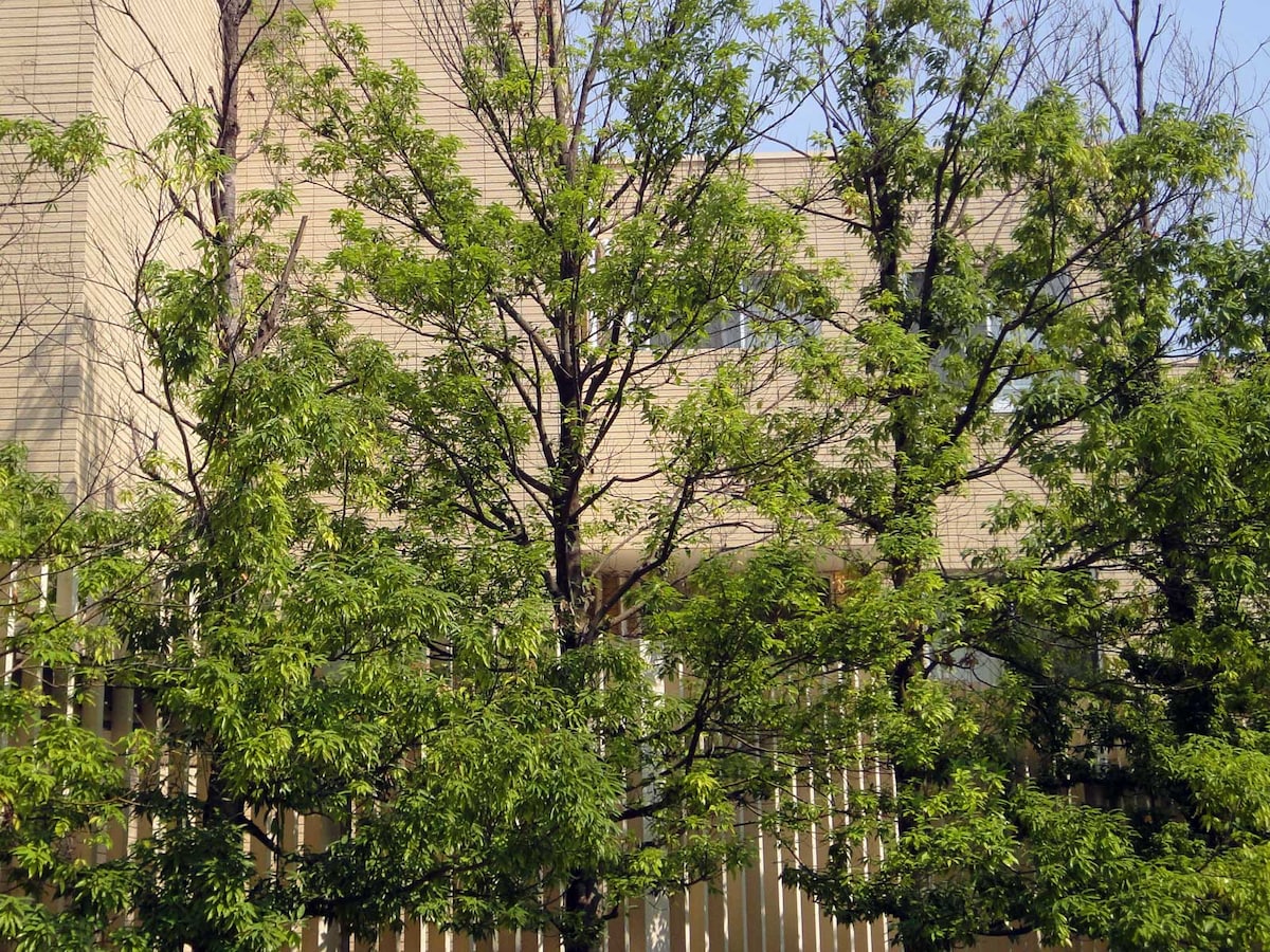 登記事項証明書 登記簿謄本 の見方 不動産売買の法律 制度 All About