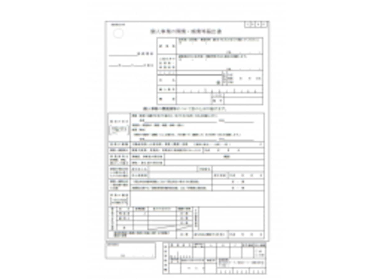 Totoy （プロフィール必読）専用 LION FX manual