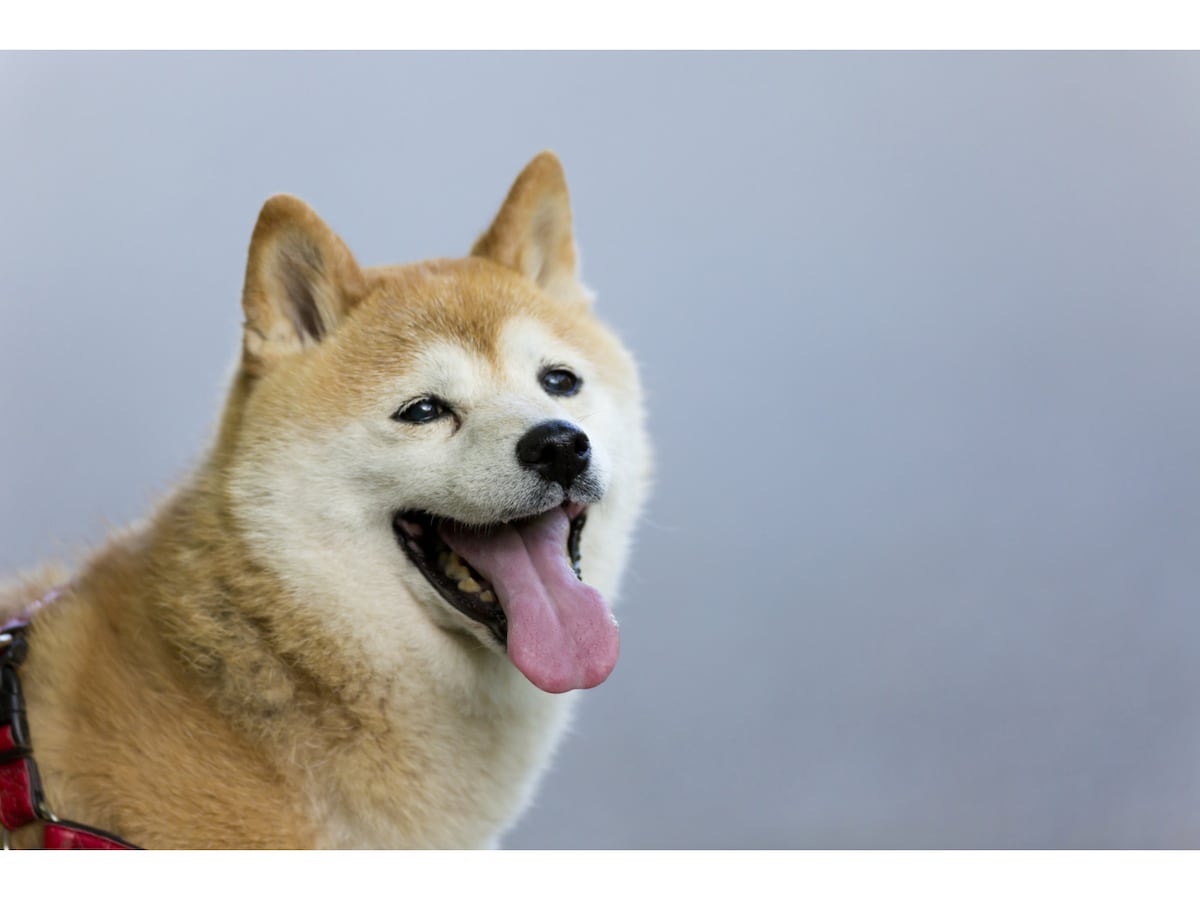 12821214276_2