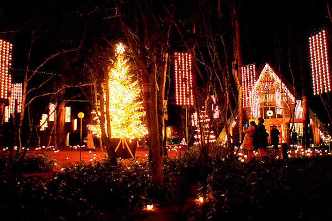 冬の軽井沢観光ならココ おすすめスポットと温泉 温泉 All About