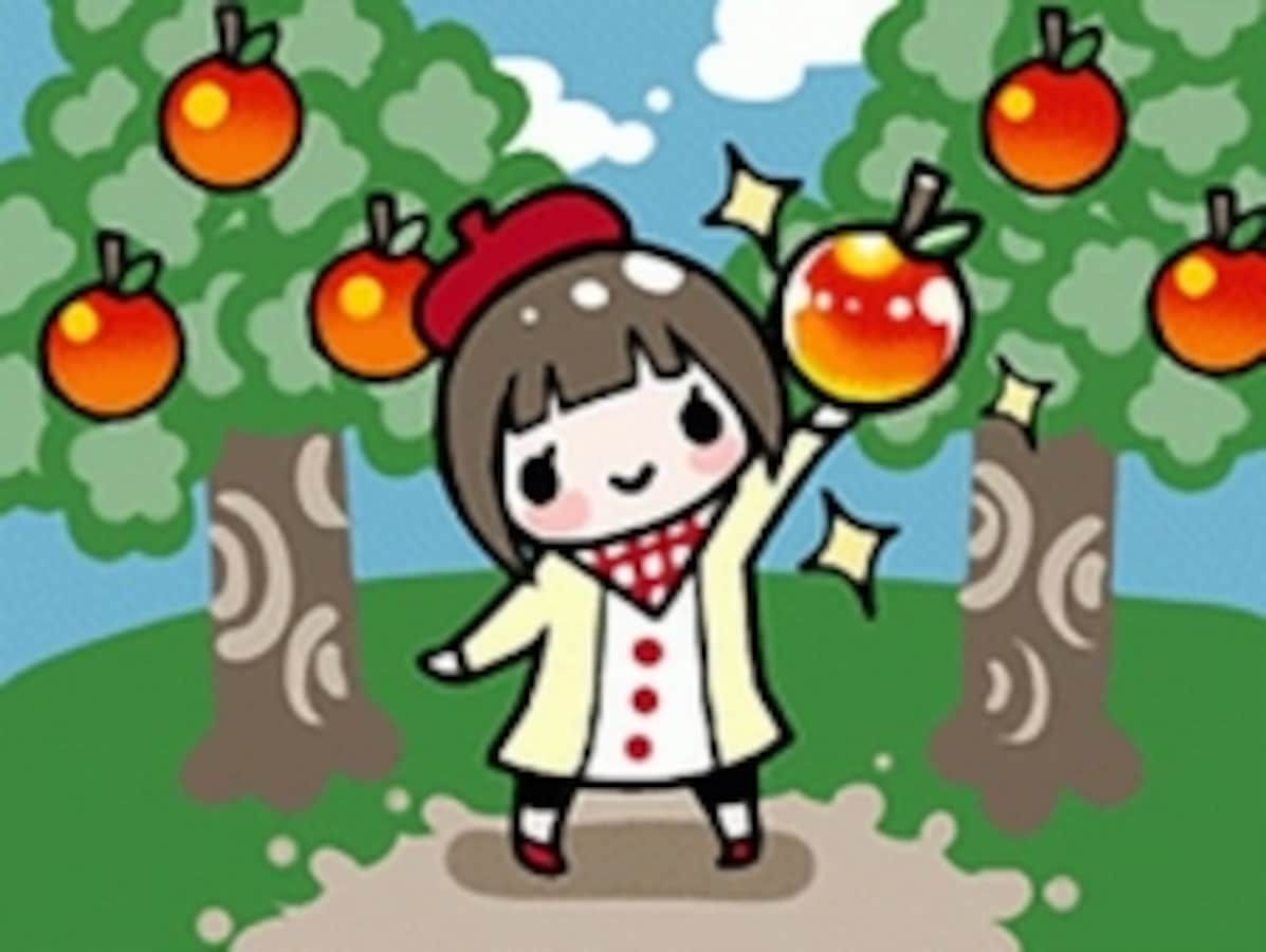 10億ベル ふるチケMAX とびだせ どうぶつの森 3DS ソフト