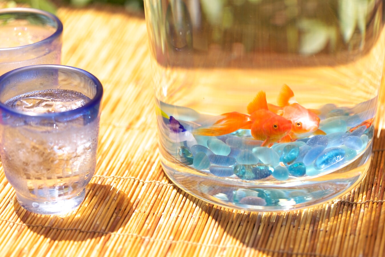 金魚の通信販売サイトおすすめ3選 金魚 all about