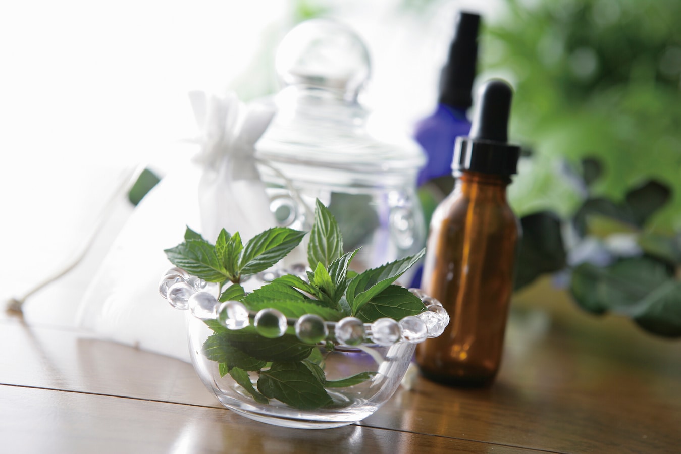 爽やかな香り リツェアクベバ スパイシーなレモン アロマテラピー All About