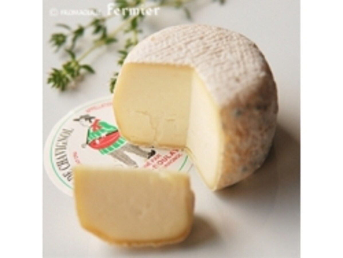 春～夏が旬！ シェーヴルチーズ [チーズ] All About