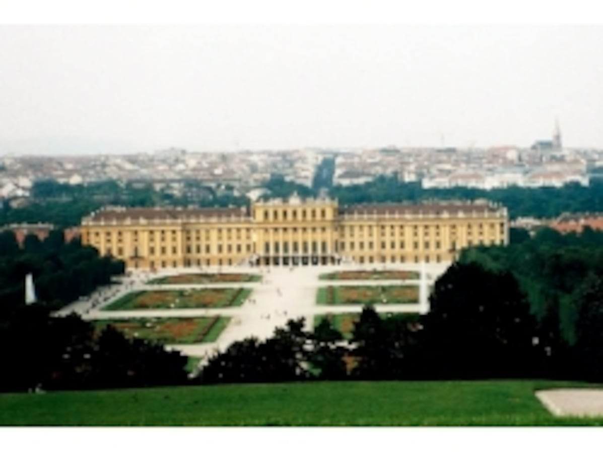 topimg_large.jpg