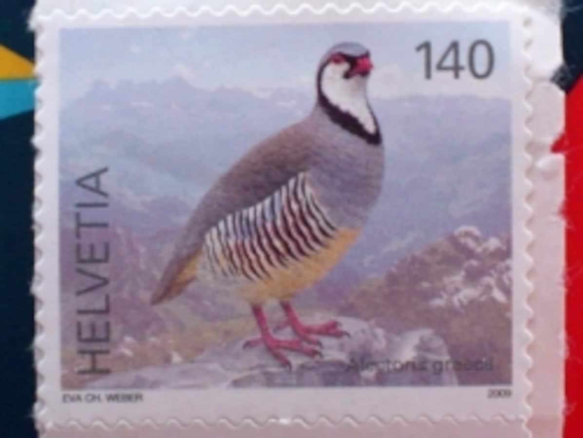 旅行で見かけたずんぐり鳥の切手 [切手収集] All About