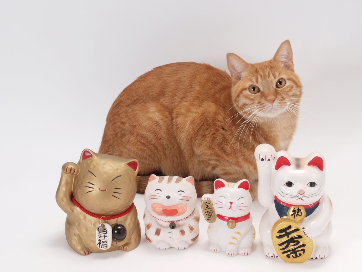 掃除をすればお金が貯まる 家計力アップの秘けつとは 家計簿 家計管理 all about