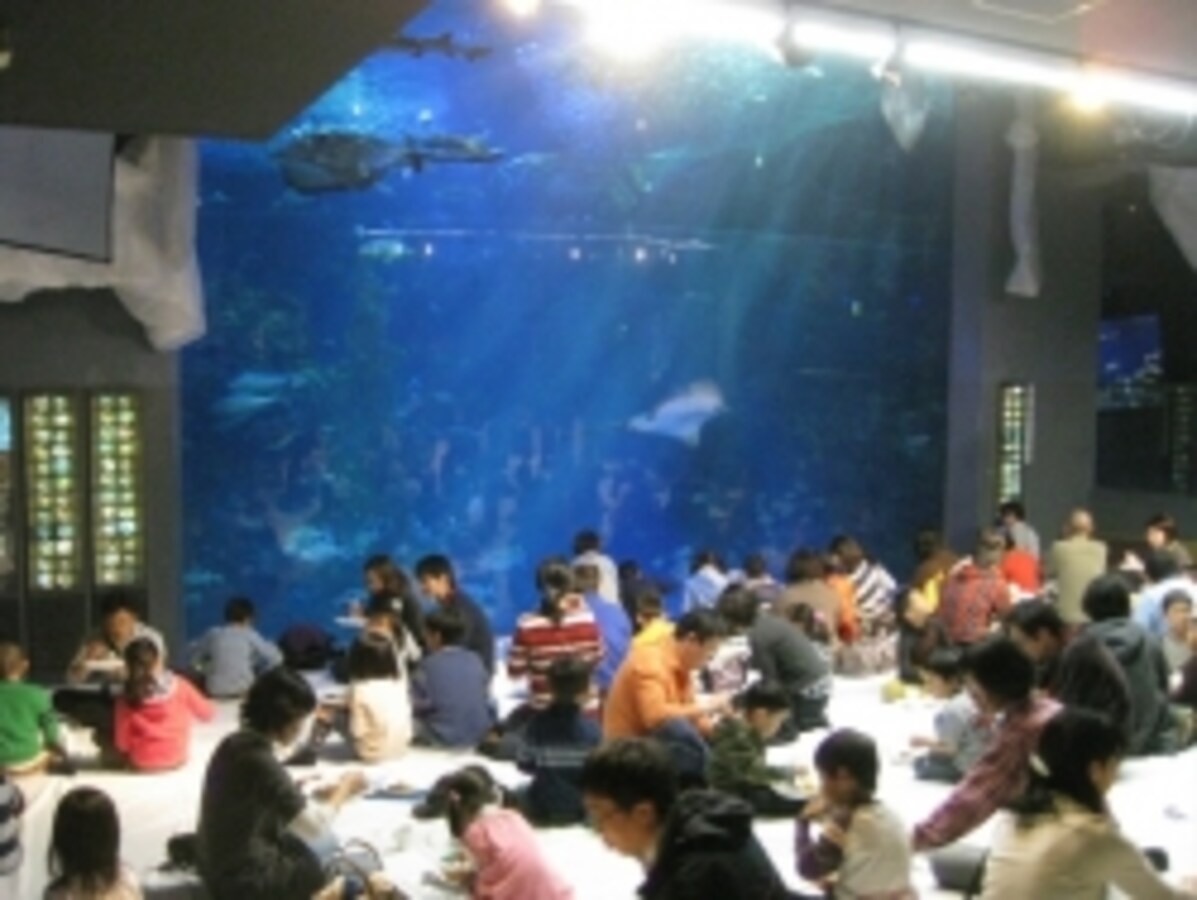 新江ノ島水族館「お泊りナイトツアー」5/21-22 2名分