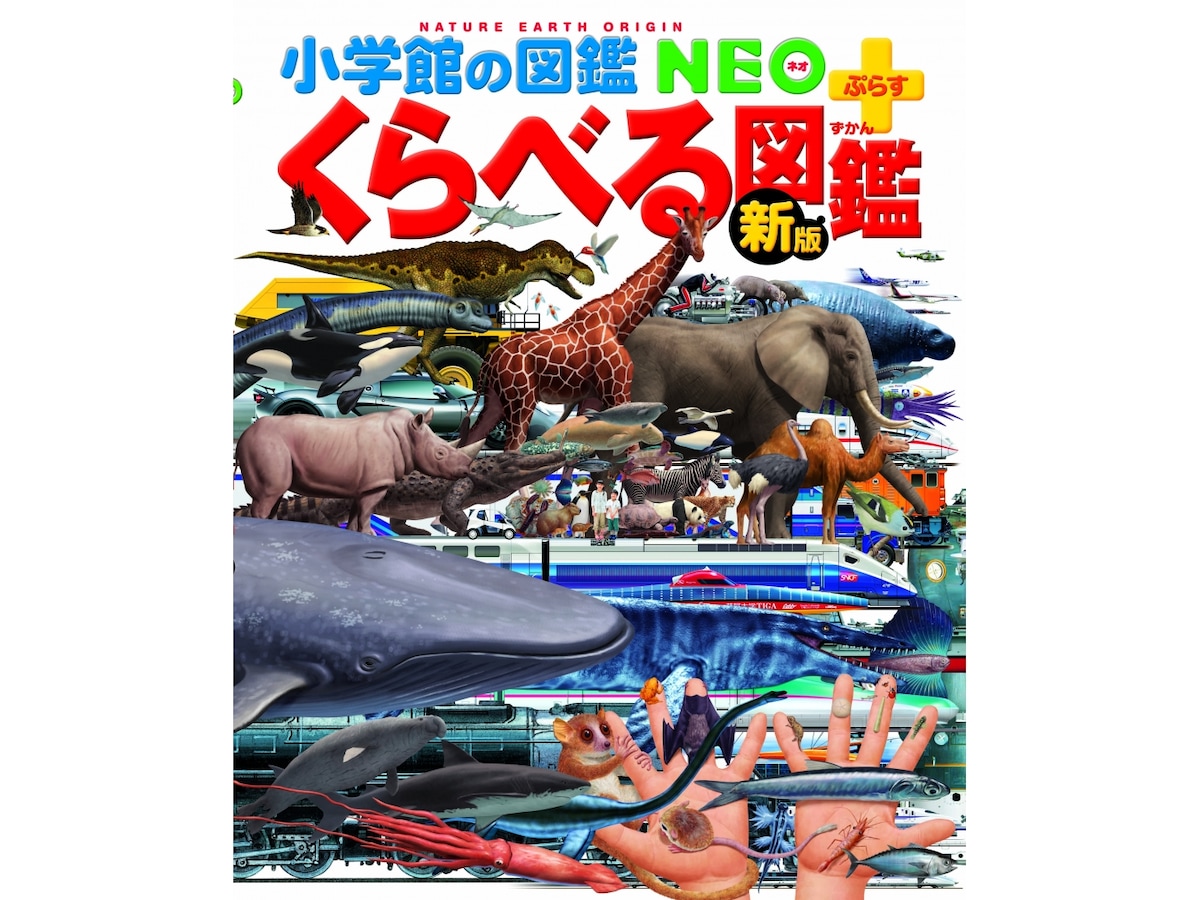 くらべる」図鑑比較！図鑑で新しい時代に必要な思考力を育もう