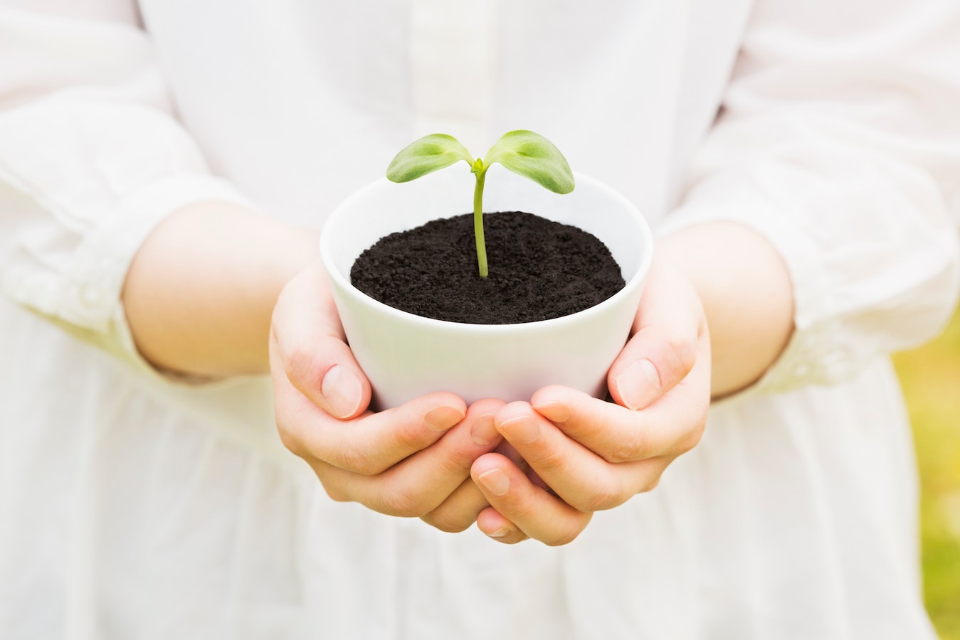 フィトセラピーとは アロマなどを使った健やかな 植物療法 スキンケア All About