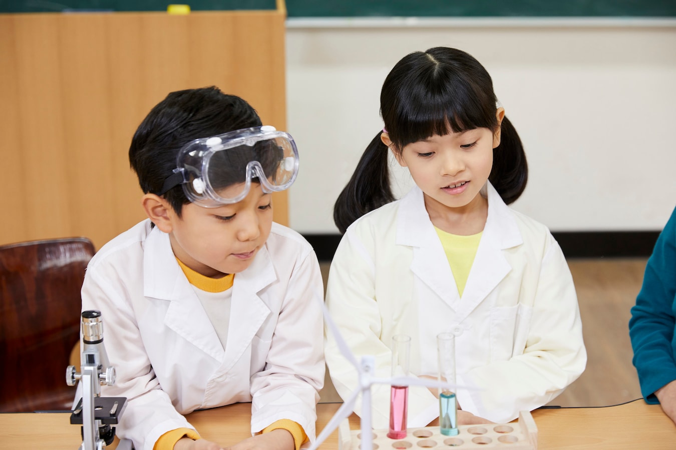 理科の自由研究におすすめの図鑑や実験科学の本10選 工作 自由研究 All About