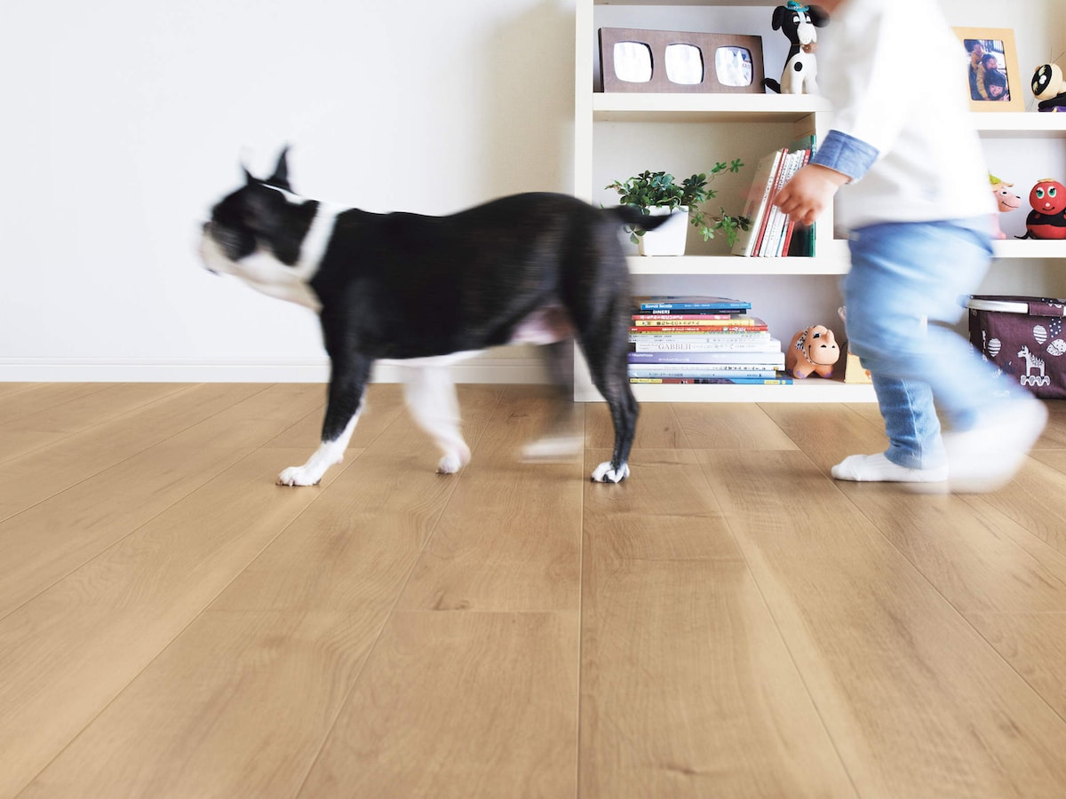 犬と暮らす家にリフォーム ペット用床材の選び方 床材 フローリング All About
