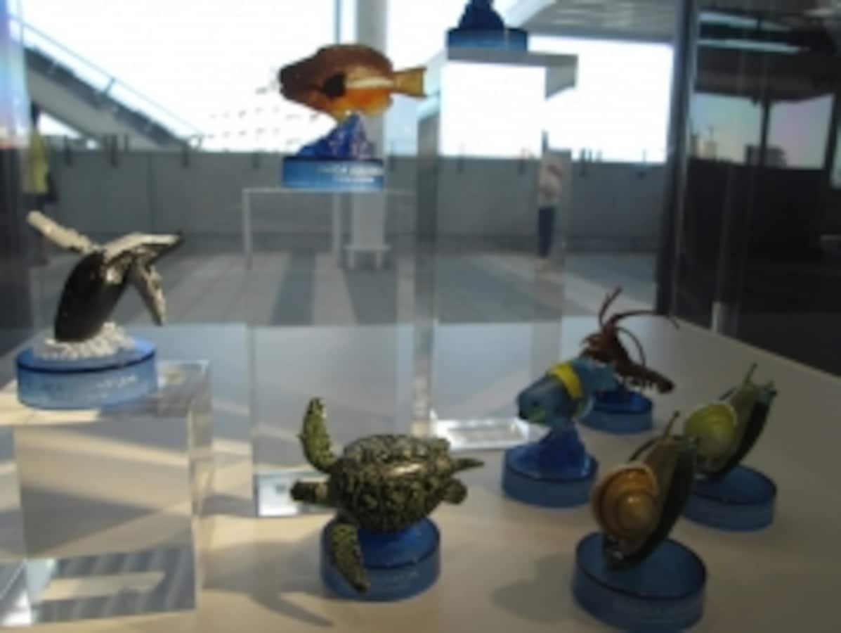 すみだ水族館限定の海の生物ガチャポン！ [東京の観光・旅行] All About