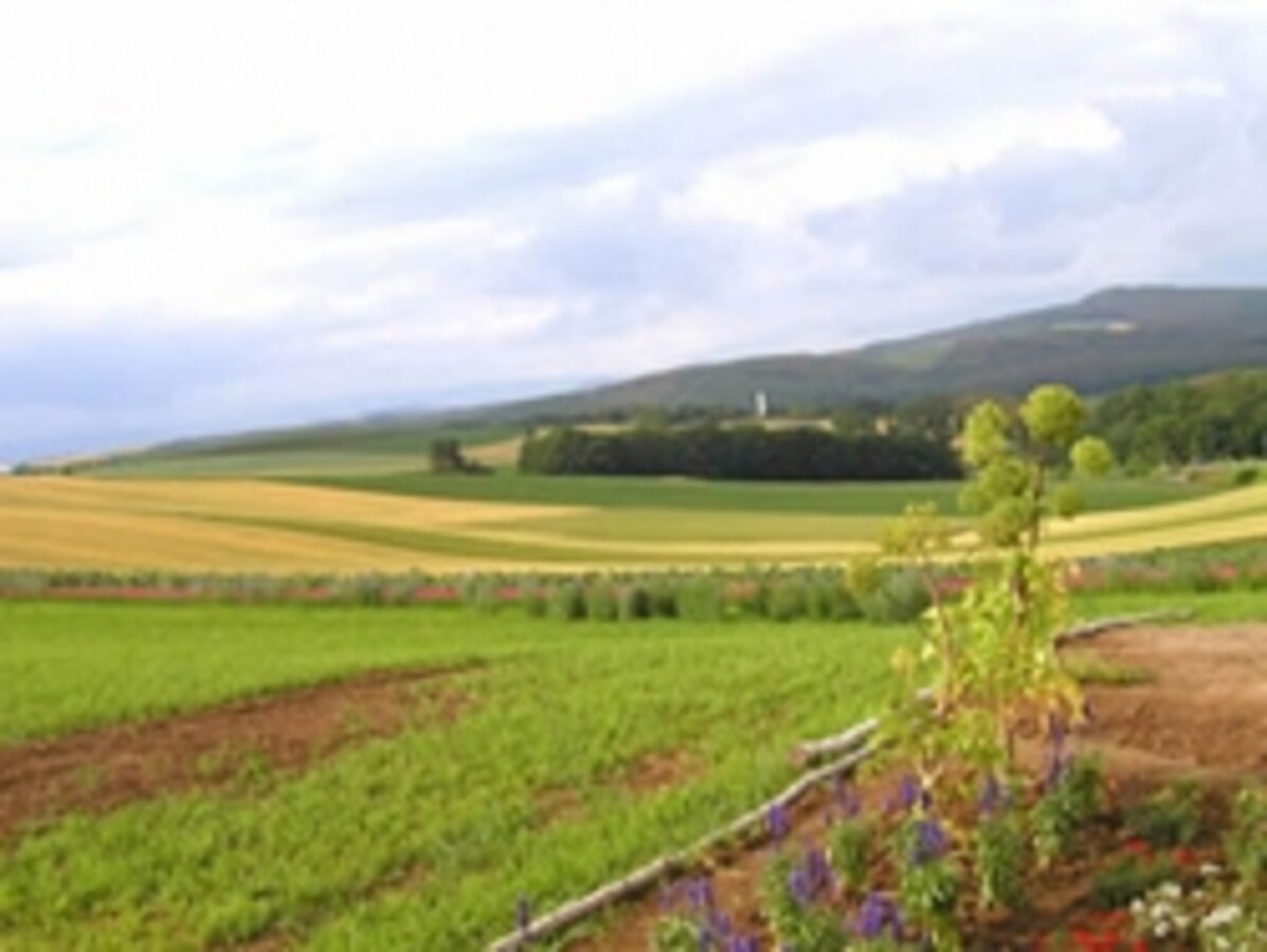 パラコート中毒はどのように治療されますか?