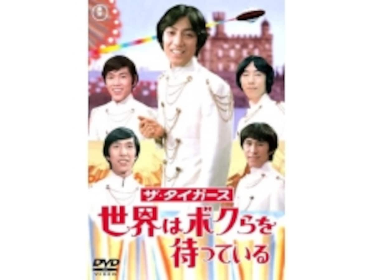 沢田研二単純な永遠○昭和レトロ入手困難非売品B2サイズポスター