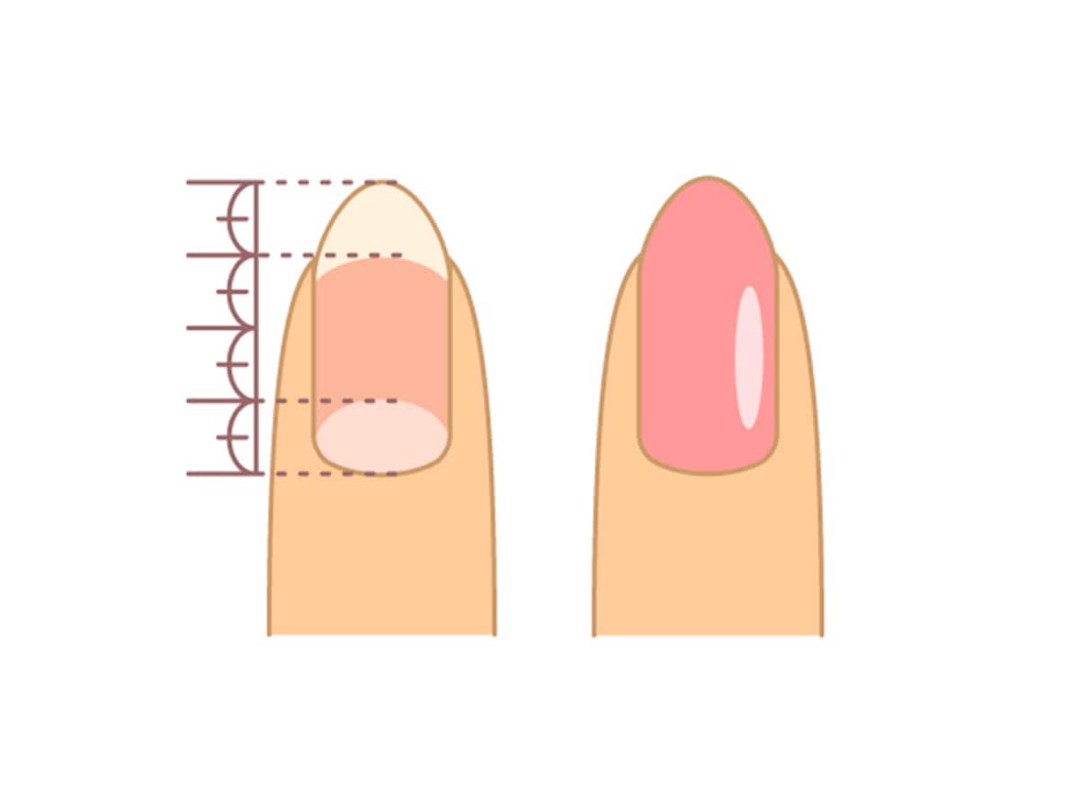 綺麗な爪の形やモテる長さは 爪の形 種類を解説 ネイル ネイルケア All About