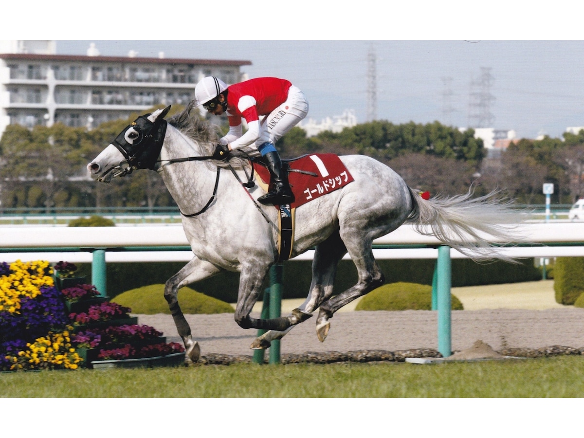 またもオフィス視点で見る 2014宝塚記念の「3強」 [競馬] All About