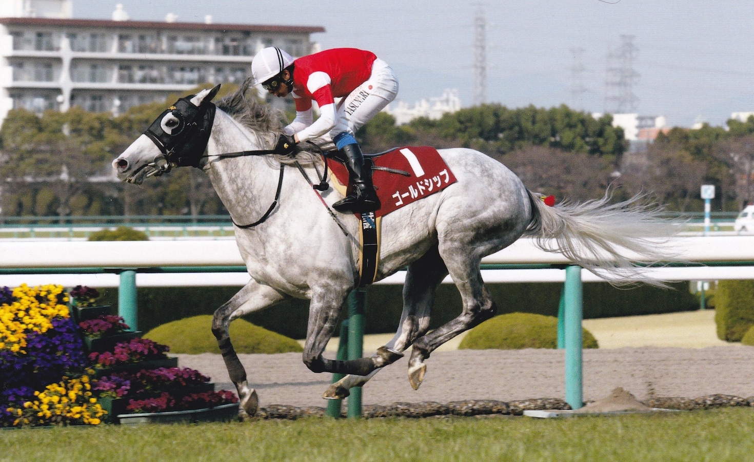 ゴールドシップ 有馬記念(2014年) 単勝馬券阪神競馬場購入10種セット♪ またもオフィス視点で見る 2014宝塚記念の「3強」 [競馬] All About