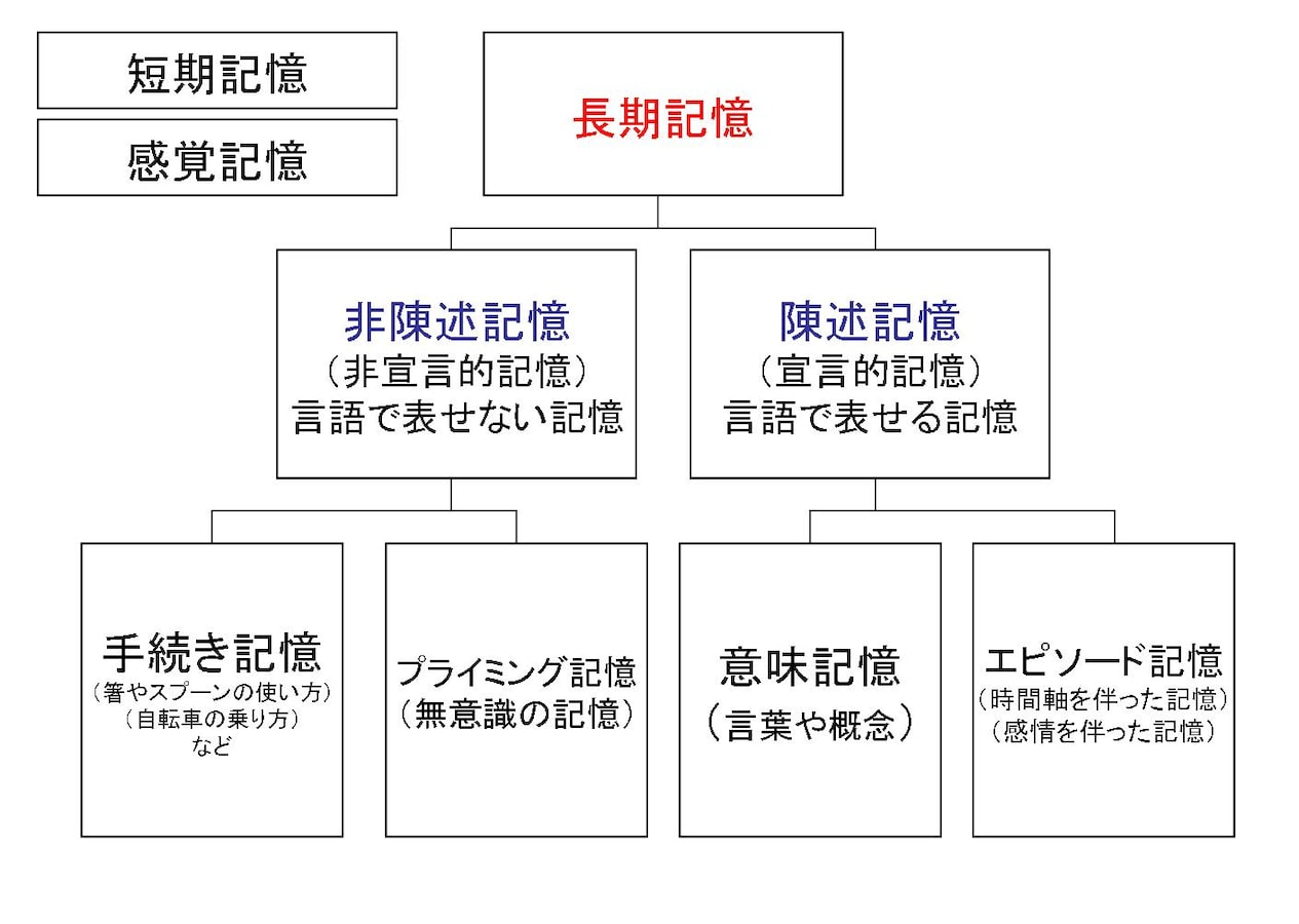 理学療法士の勉強法 意味記憶 エピソード記憶 理学療法士 All About