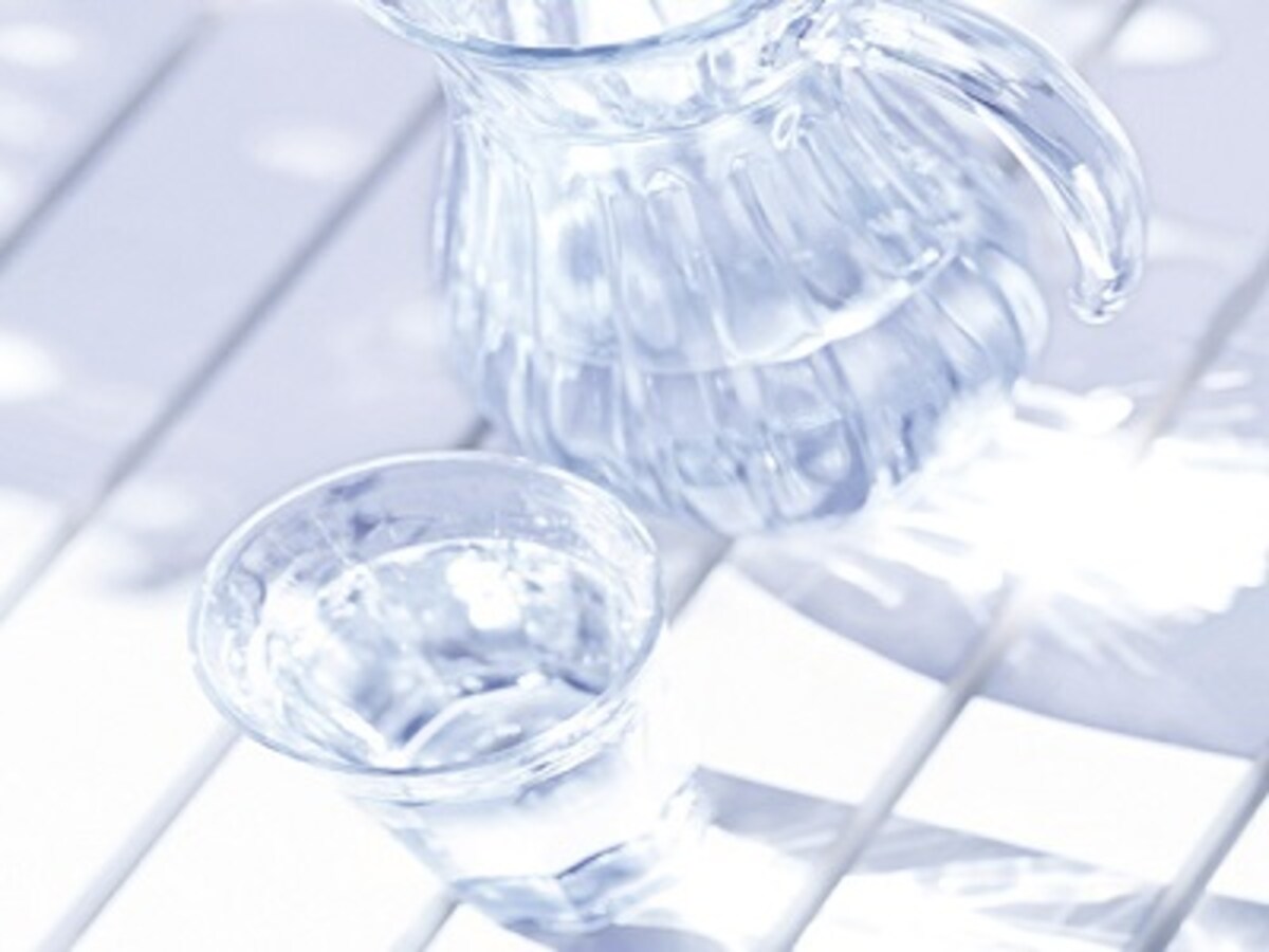 プロテオグリカンは年齢肌の救世主になりえるか スキンケア All About