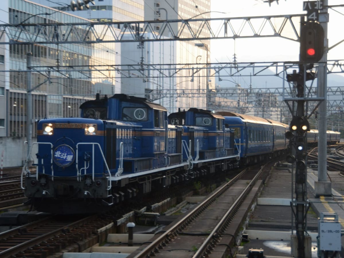 かわいい新作 topimg_large.jpg コレクション