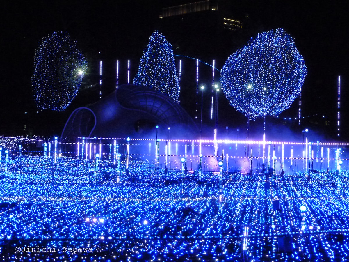 LEDイルミネーション撮影を攻略しよう [写真撮影] All About