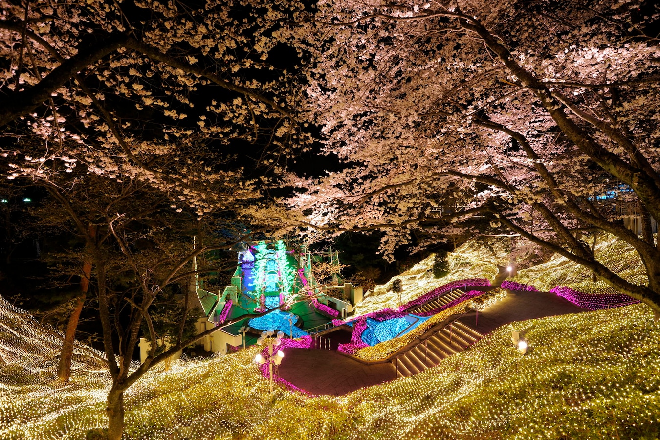 西武園ゆうえんち イルミージュ 千本桜と光のショー 夜景 イルミネーション All About