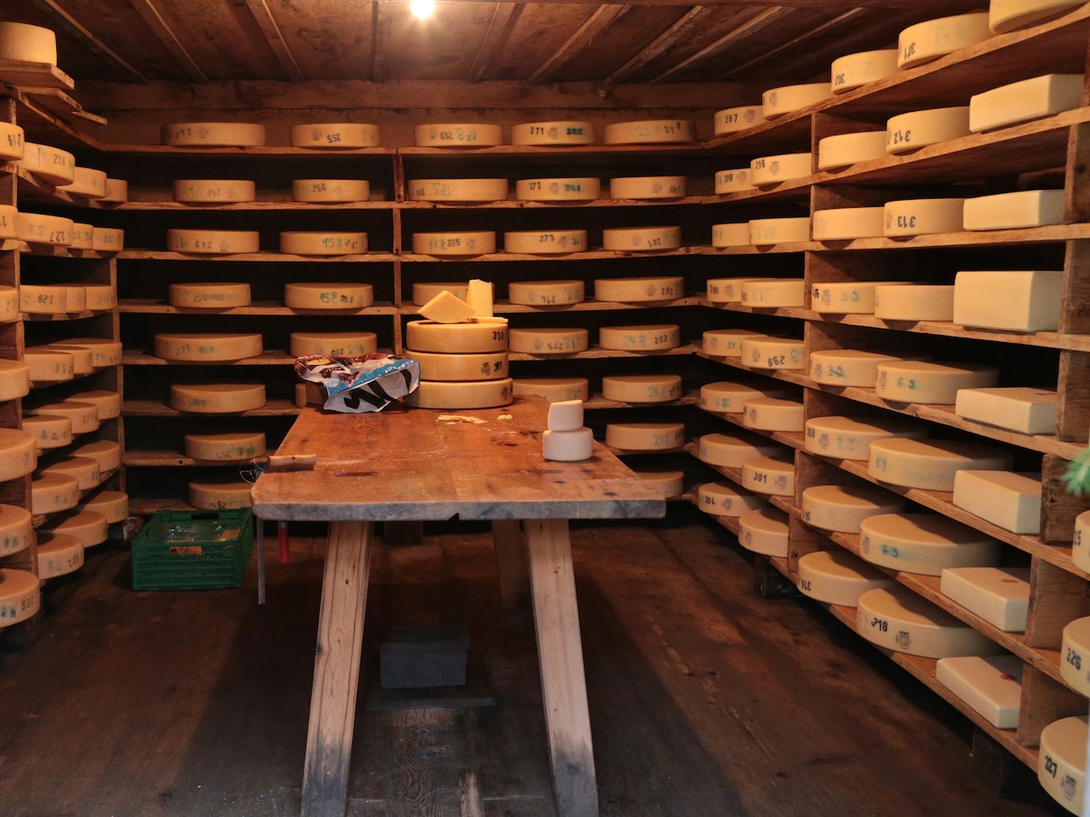 本場スイス グリンデルワルトのお勧めチーズ５選 スイス All About