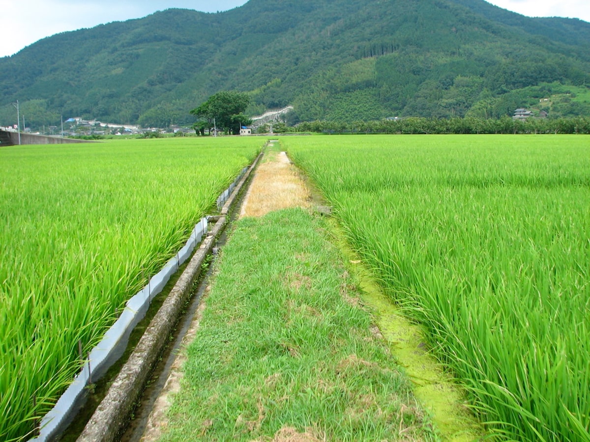 ボクが出会った田舎で つまずいた 残念な人たち 田舎暮らし All About