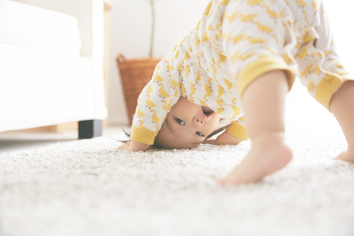 将来伸びる能力の基礎を創る 1歳から2歳学習法 早期教育 幼児教育 All About