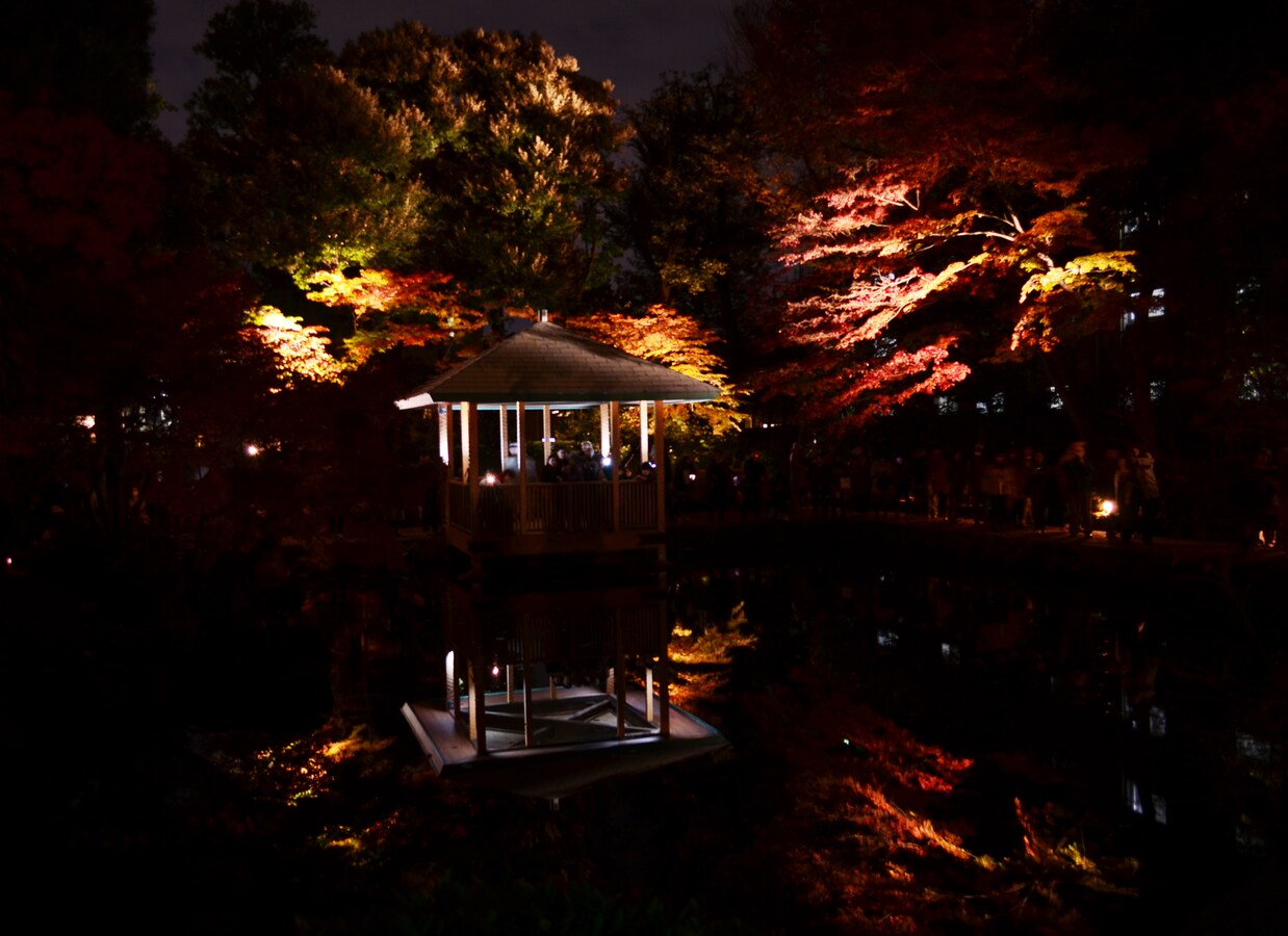 デートにおすすめ 東京都内の紅葉ライトアップ 夜景 イルミネーション All About