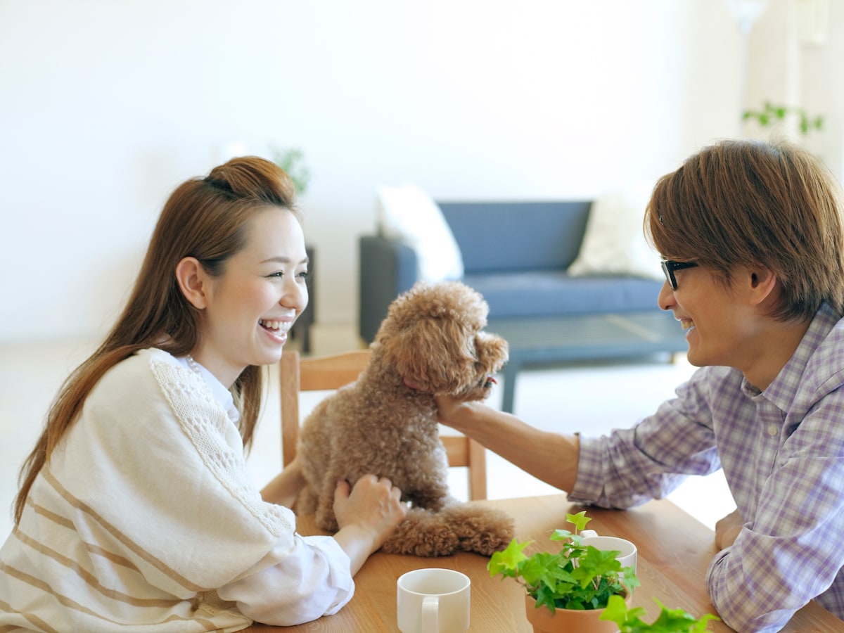 犬にどこまでお金をかける 愛犬の飼育費用 犬 All About