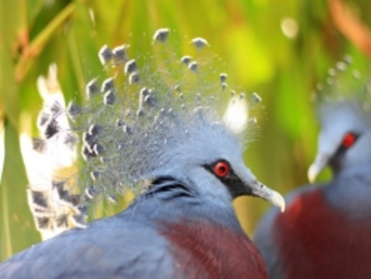 topimg_large.jpg
