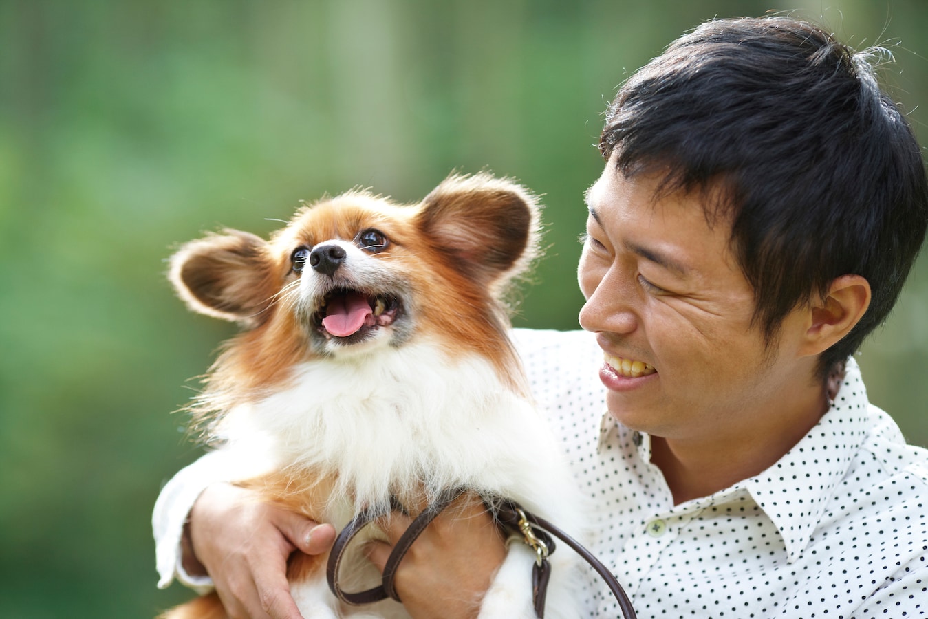 愛犬の幸せ度をチェックする10の質問 犬にとっての幸福って 犬 All About