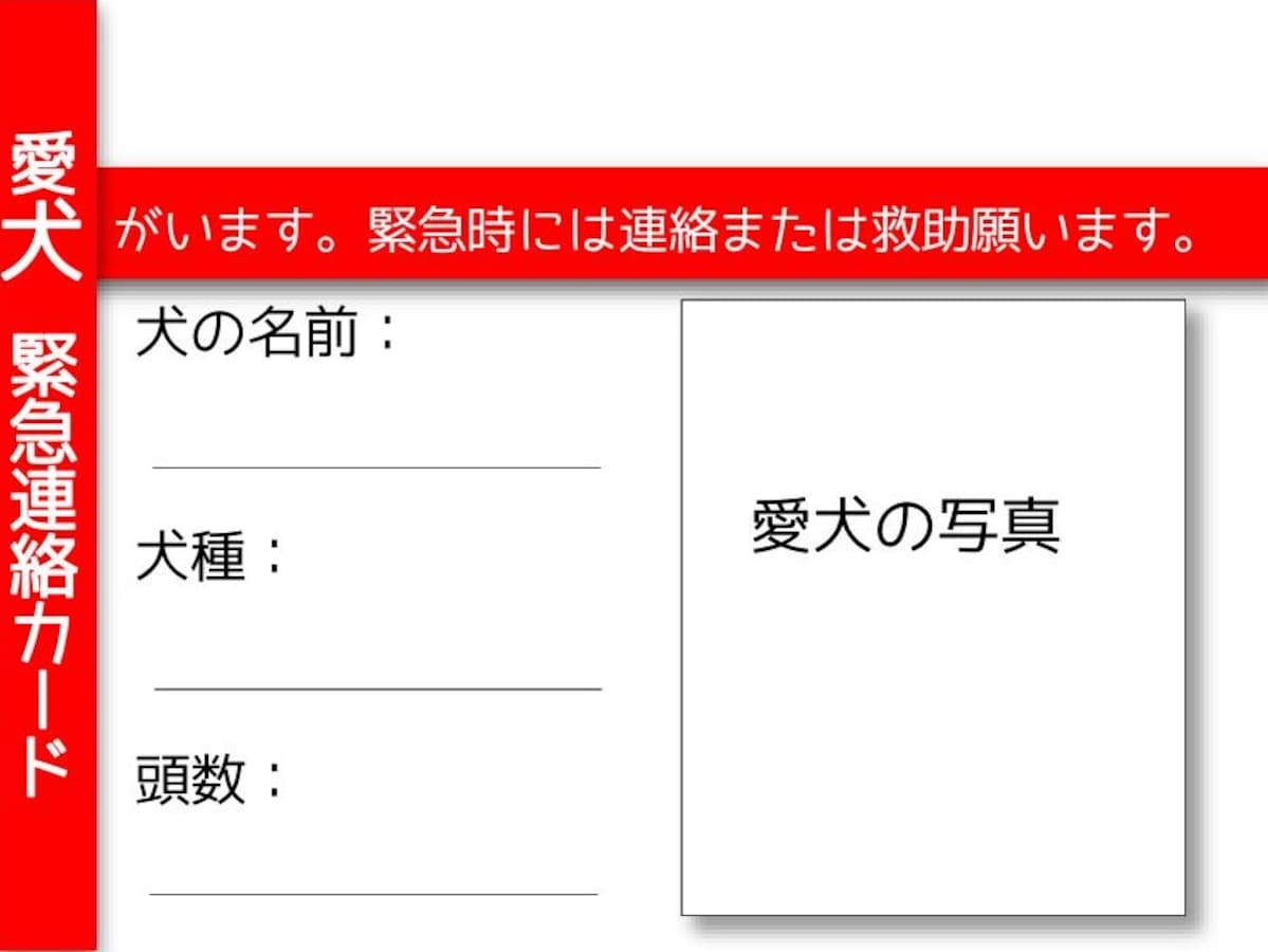 Amazon.co.jp: 犬と猫のエマージェンシー対応 すぐに検索！臨床