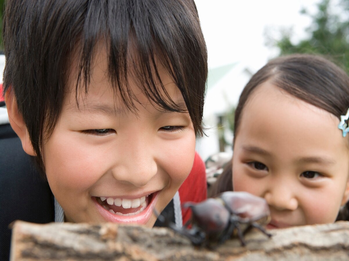 将来伸びる能力の基礎を創る！5歳から6歳学習法 [早期教育・幼児教育] All About